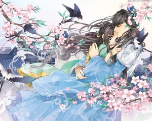 一清二楚视频在线观看